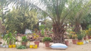 La ferme agro écologique de Kaydara